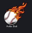 Avilla Sports